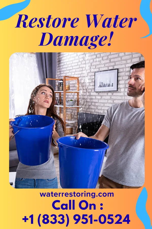 water restoration Pro Disaster Cleanup Group Chalkhill