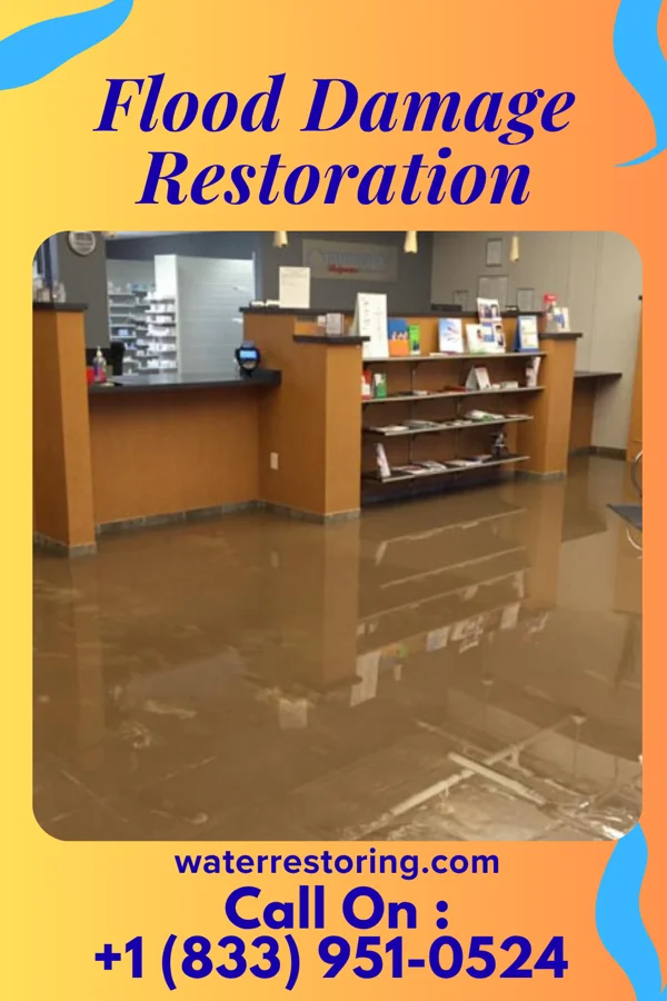Flood Damage Restoration in Chalkhill, PA