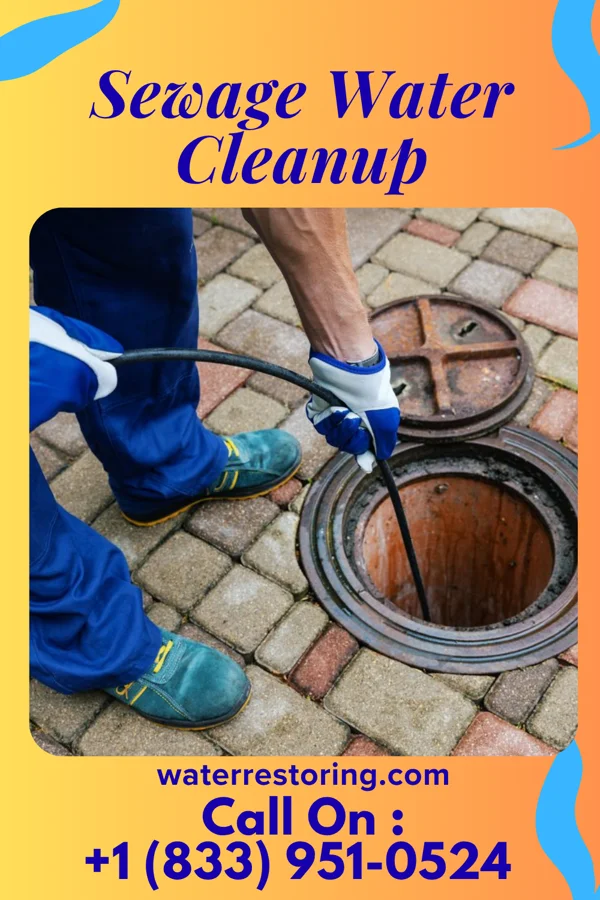 Sewage Water Cleanup in Chalkhill, PA